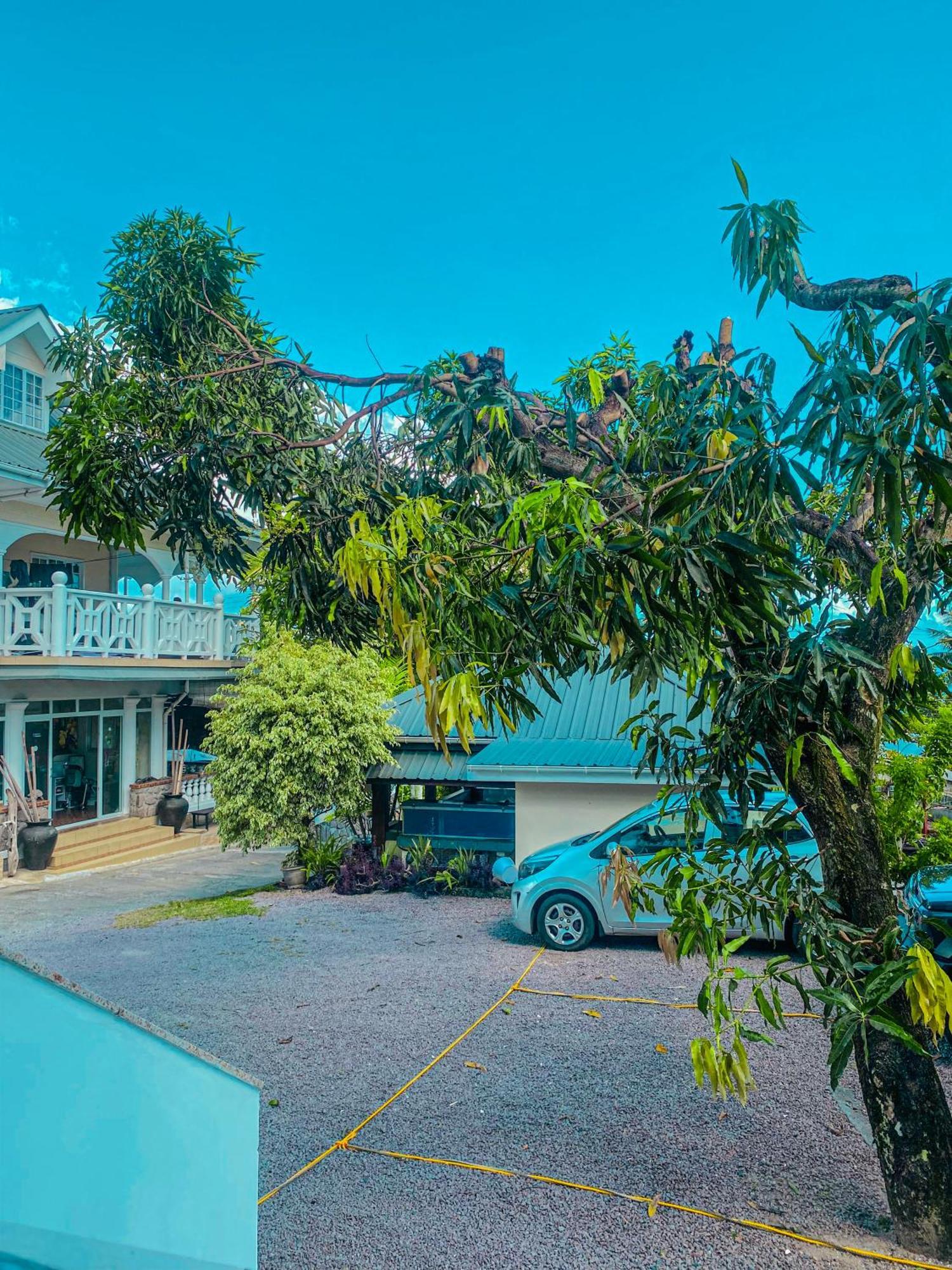 Divers Lodge Guest House Beau Vallon  Exterior foto